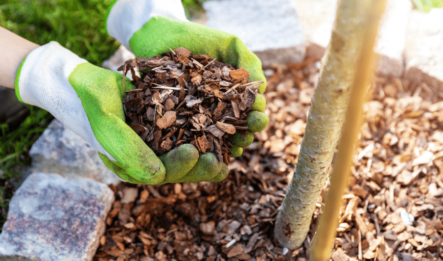 MULCHING